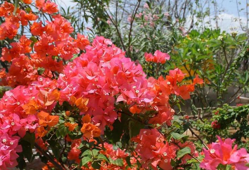 צימר Sunset Bungalow