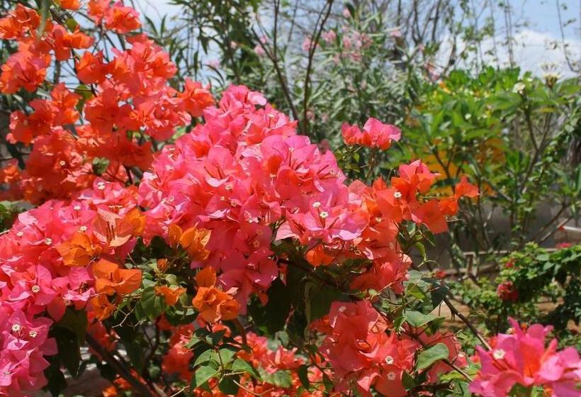 צימר Sunset Bungalow