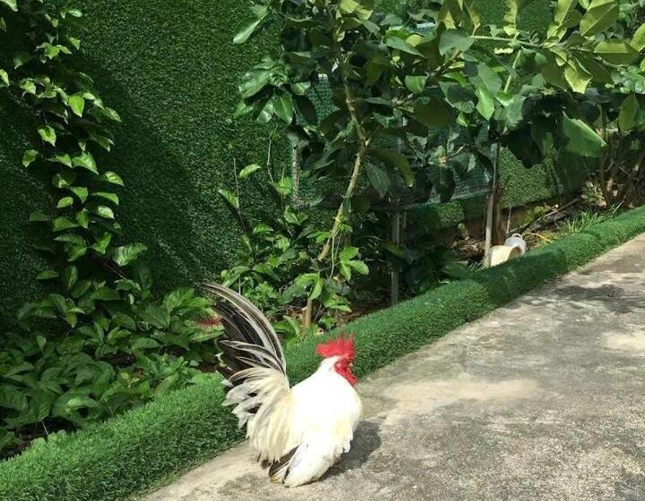 هتل Bungalow Homestay Côn đảo