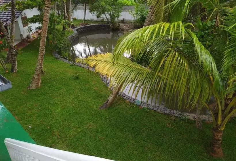 Hotelli Shanon Lake Villa Surf Lodge