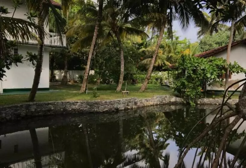 Hotelli Shanon Lake Villa Surf Lodge