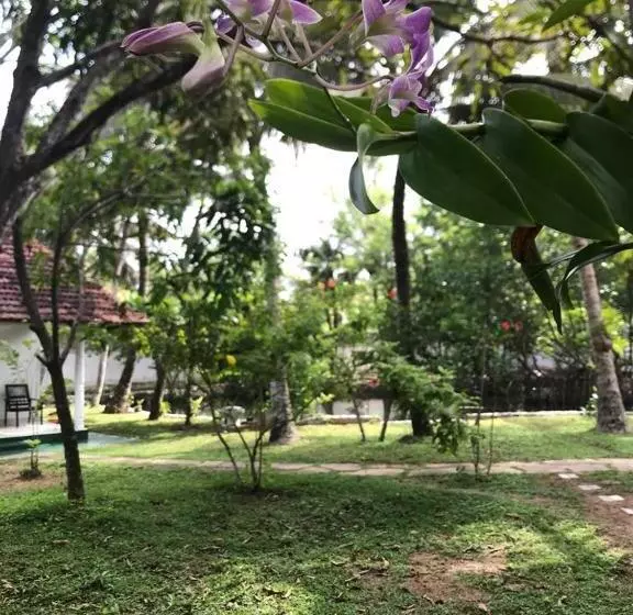 Hotelli Shanon Lake Villa Surf Lodge