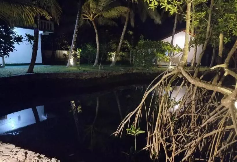 Hotelli Shanon Lake Villa Surf Lodge