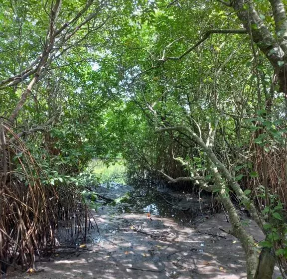 Hotelli Shanon Lake Villa Surf Lodge