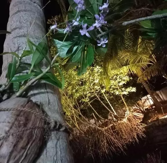 Hotelli Shanon Lake Villa Surf Lodge