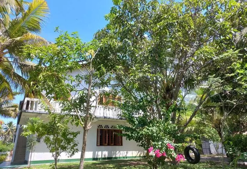 Hotelli Shanon Lake Villa Surf Lodge