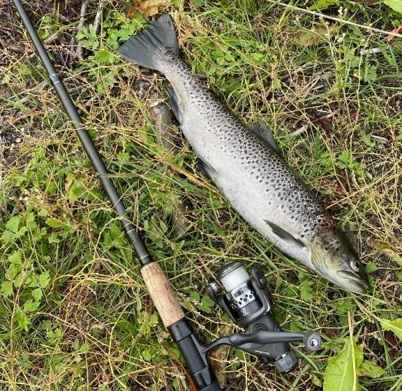 호텔 Storjord Farmstay Ranchhouse