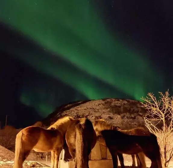 هتل Storjord Farmstay Ranchhouse
