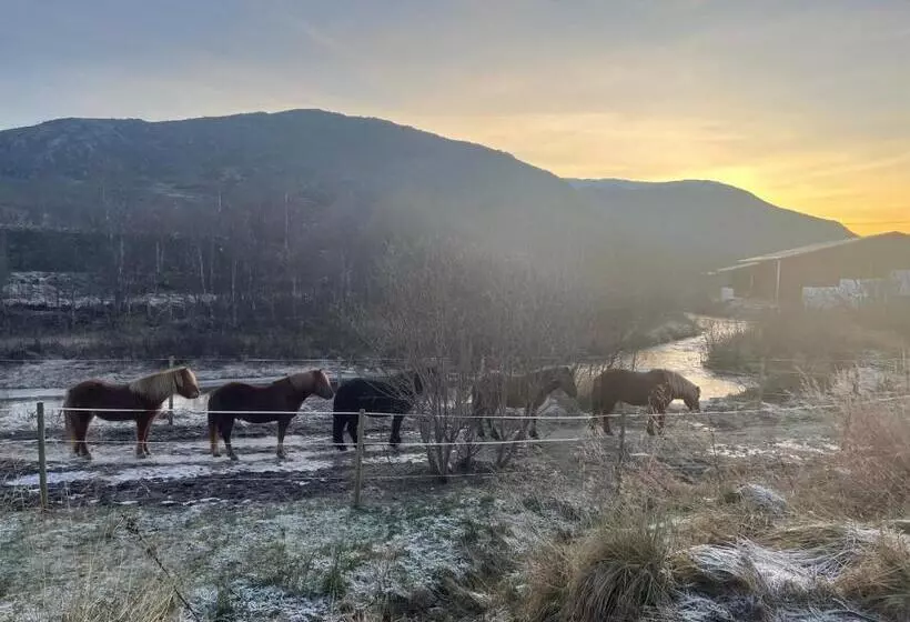 هتل Storjord Farmstay Ranchhouse