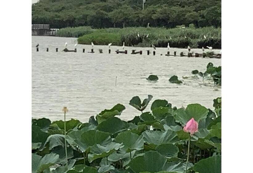 Kawagoe Daiichi Hotel   Vacation Stay 65225v