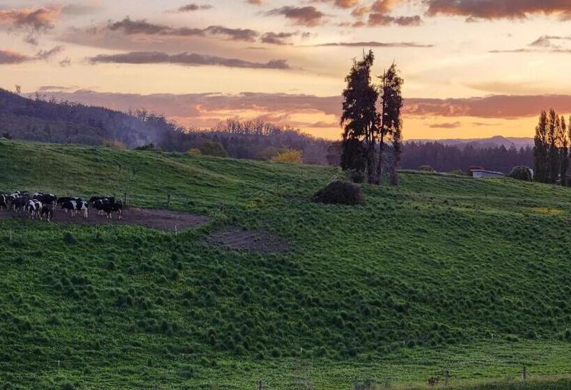 Pansiyon A Stunning Retreat In Rotorua!