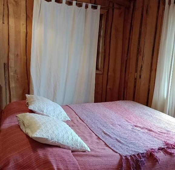 Pensionat Hostal Repu