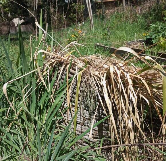 Pensionat Hostal Repu