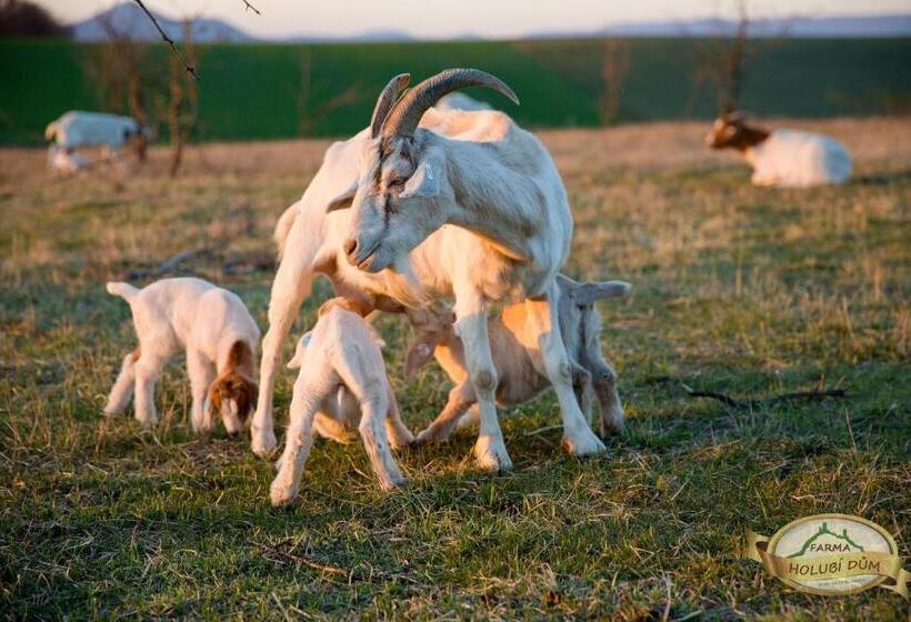 Panzió Penzion Pod Hazmburkem