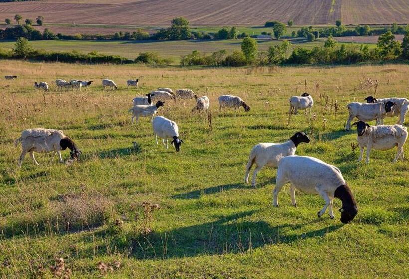 Panzió Penzion Pod Hazmburkem