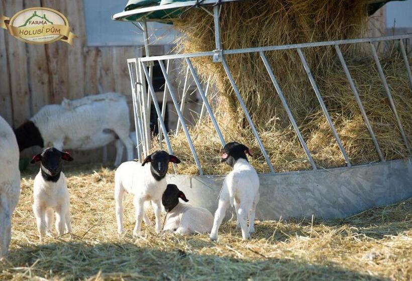 Panzió Penzion Pod Hazmburkem