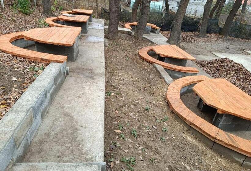 پانسیون Viv Rosetti