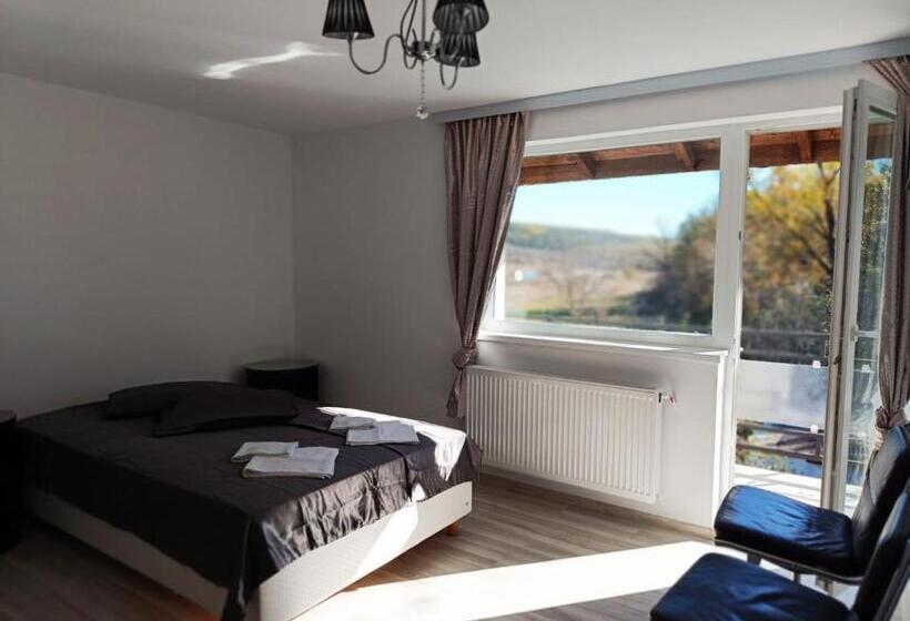 پانسیون Viv Rosetti