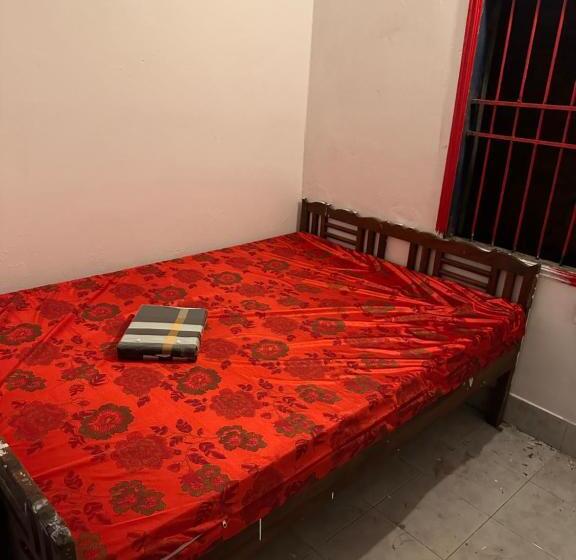 Bed and Breakfast Oliveo