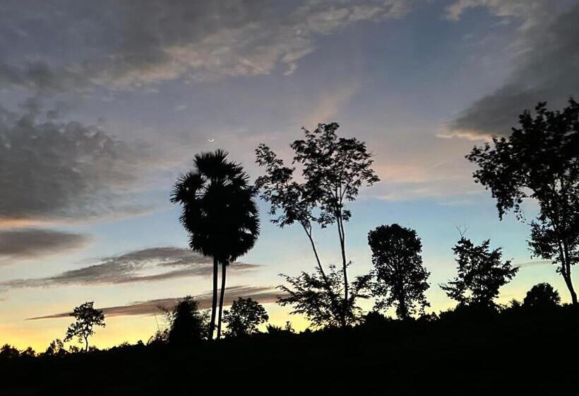 Bed and Breakfast Oliveo