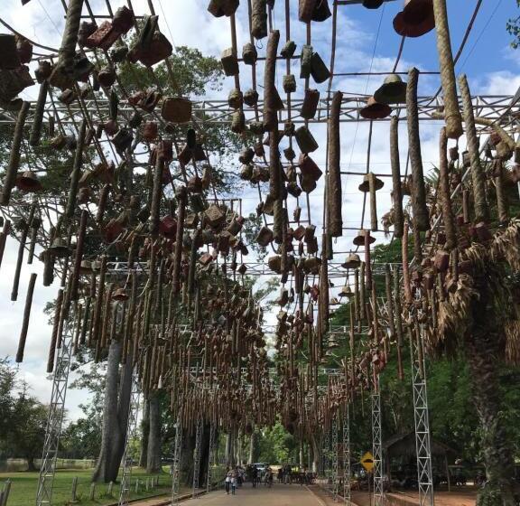 Bed and Breakfast Oliveo