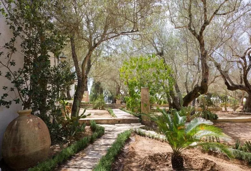 تختخواب و صبحانه Si Brahim Studio Piscine, Sidi Bou Saïd