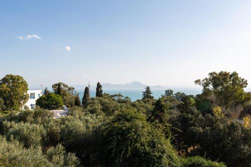 Bed & Breakfast Si Brahim Studio Piscine, Sidi Bou Saïd