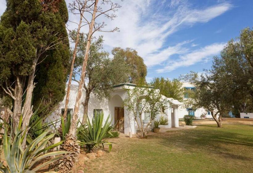 Bed & Breakfast Si Brahim Studio Piscine, Sidi Bou Saïd