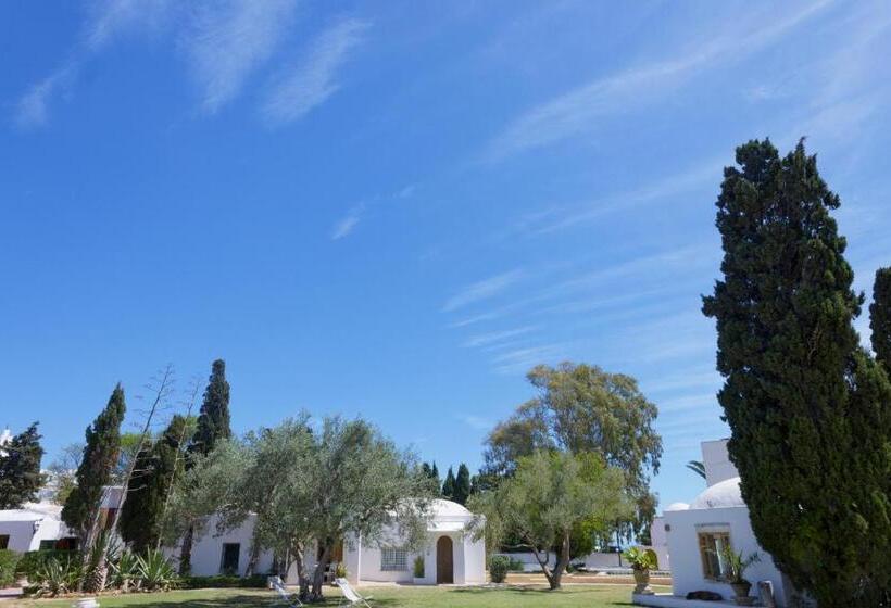 Bed & Breakfast Si Brahim Studio Piscine, Sidi Bou Saïd