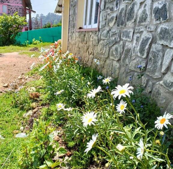 פנסיון Villa Jenova