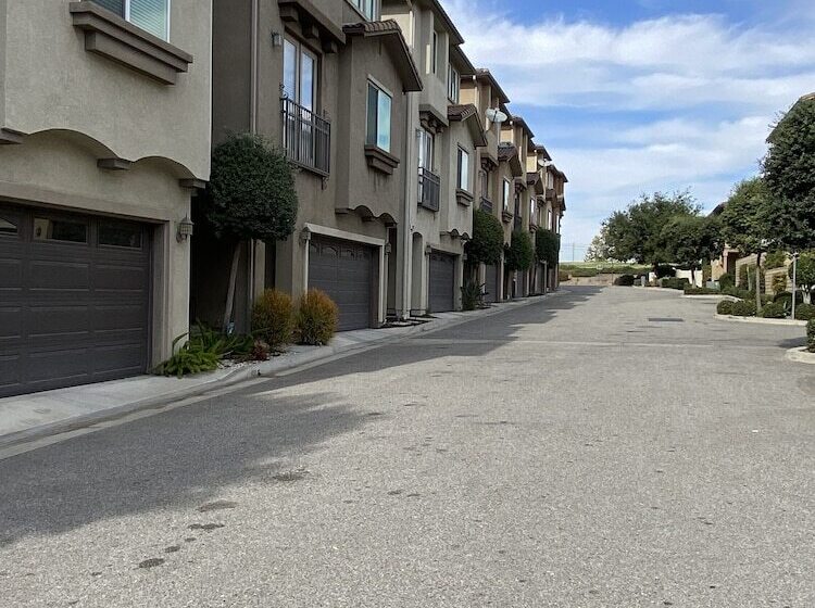 膳宿费 Olive Glen