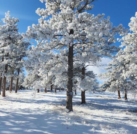 مبيت وإفطار Cassidy Ranch