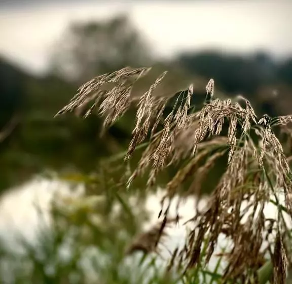 Majatalo Penzion A Restaurace U Nováků