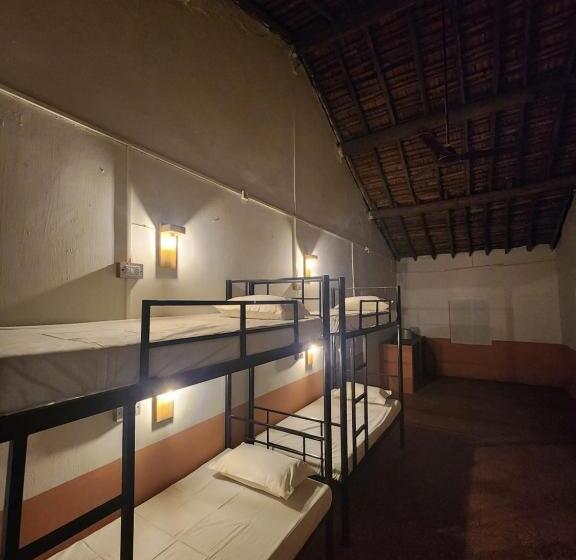 Rustic Dreams Hostel   Anjuna