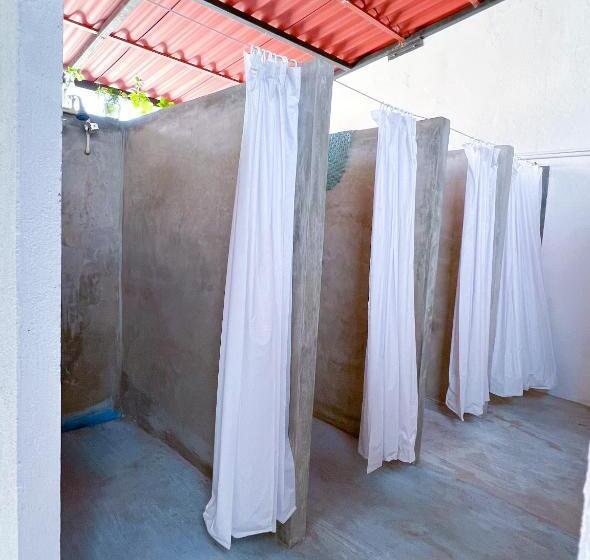 هاستل Vive Alegría, Dragonfly