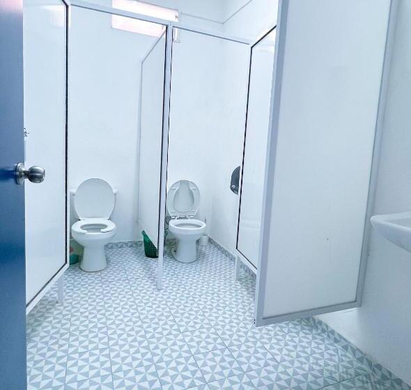 هاستل Vive Alegría, Dragonfly