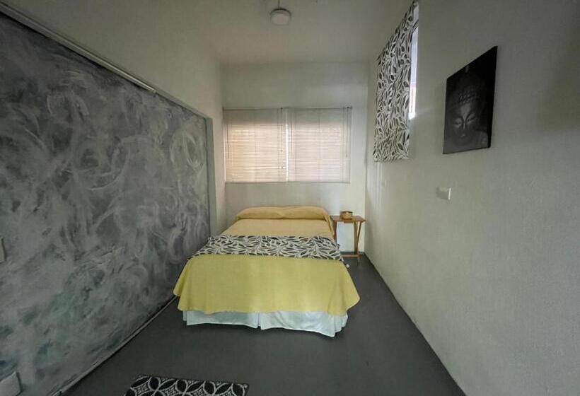 هاستل Vive Alegría, Dragonfly