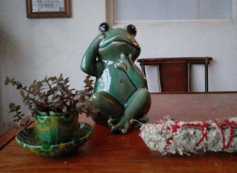 هاستل Vive Alegría, Dragonfly