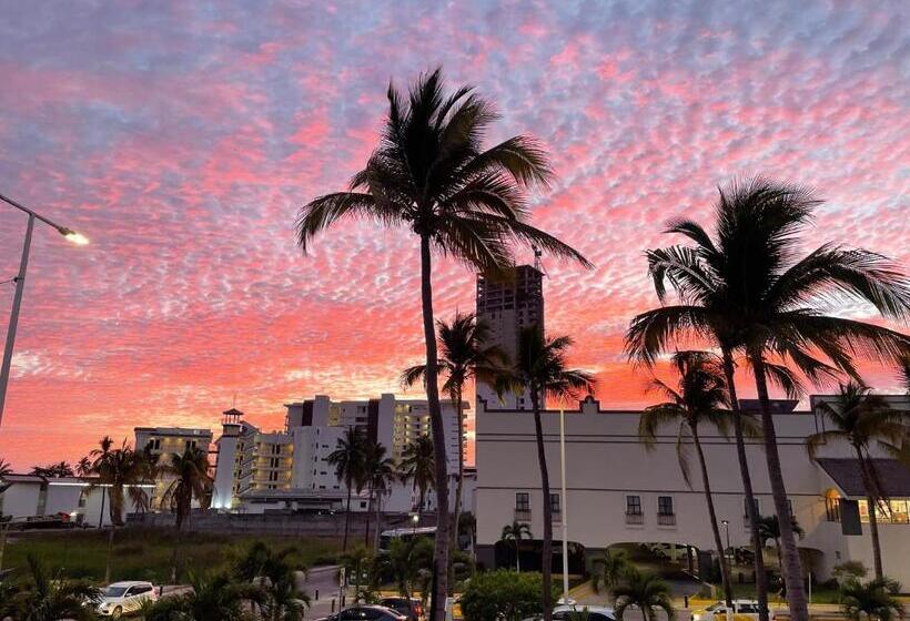 هاستل Vive Alegría, Dragonfly