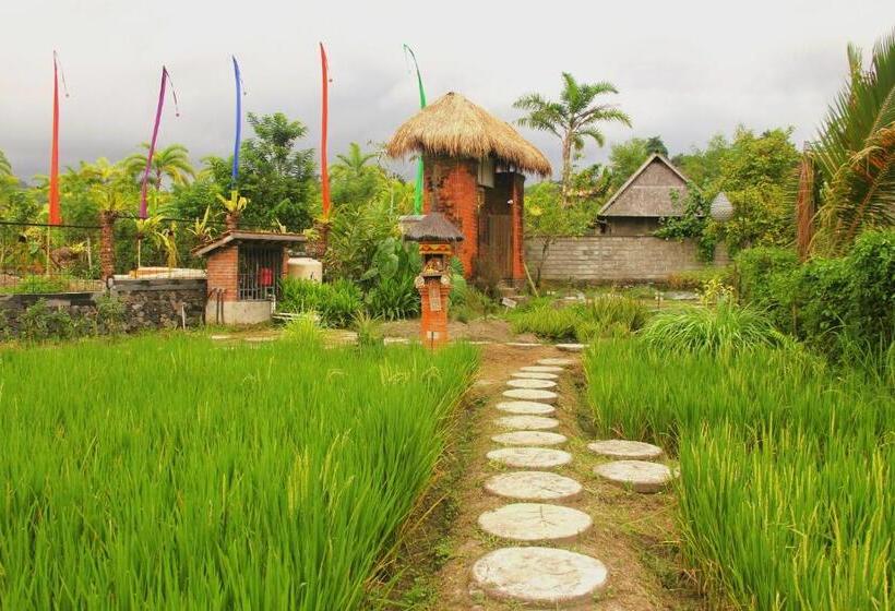 민박 Anandinii River Lodge