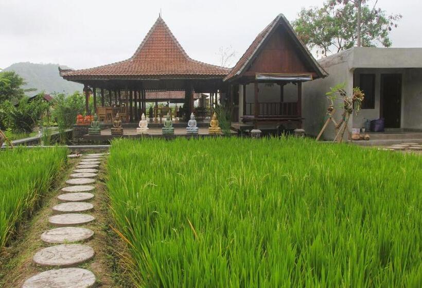 Bed and Breakfast Anandinii River Lodge