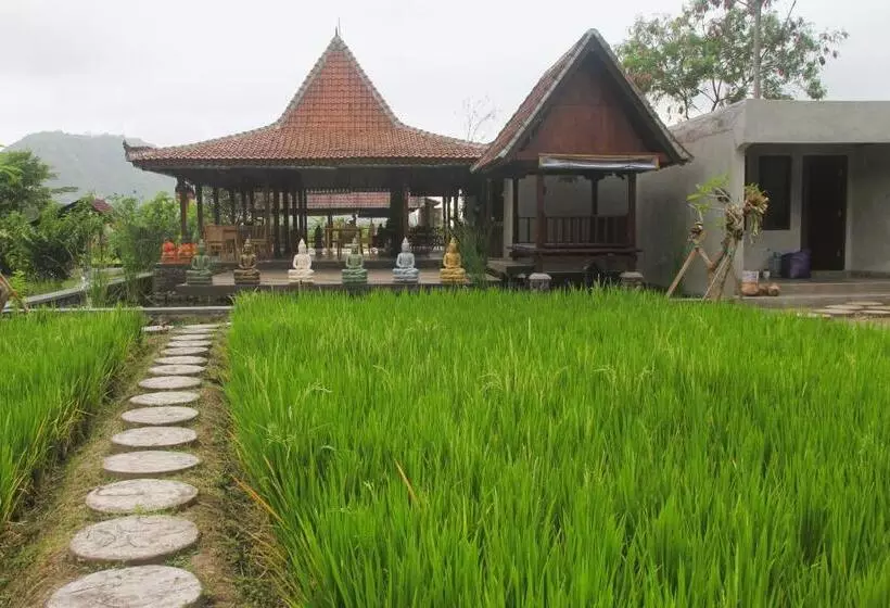 ベッドアンドブレックファースト Anandinii River Lodge