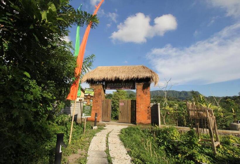 Bed and Breakfast Anandinii River Lodge