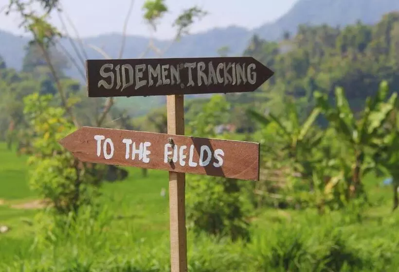 ベッドアンドブレックファースト Anandinii River Lodge