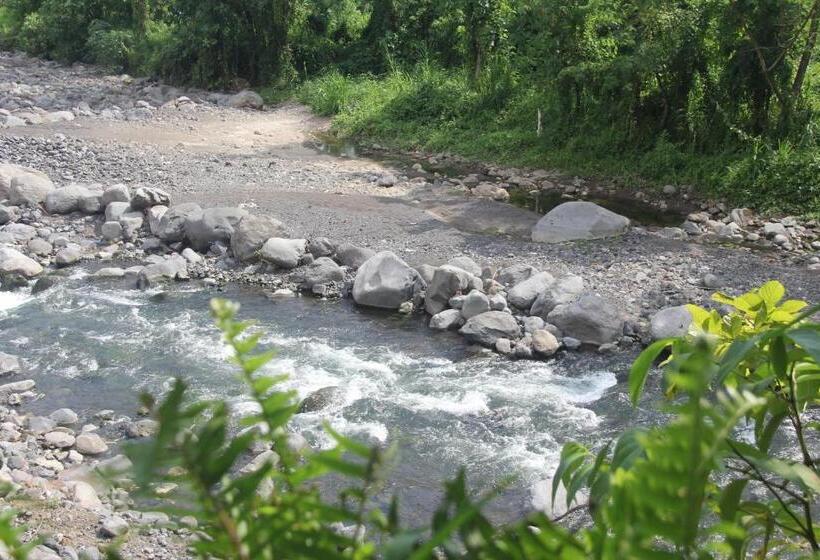 민박 Anandinii River Lodge