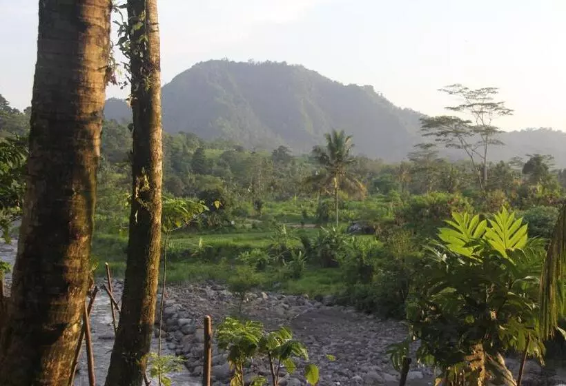 ベッドアンドブレックファースト Anandinii River Lodge