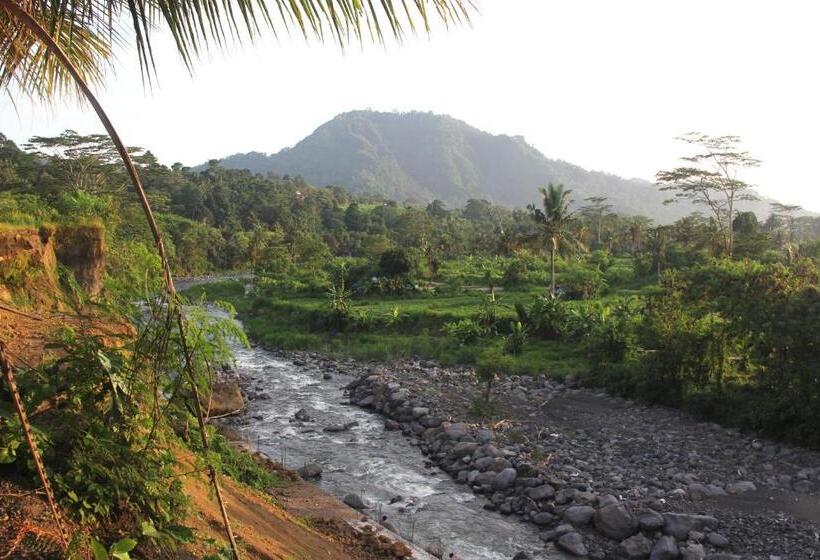 민박 Anandinii River Lodge