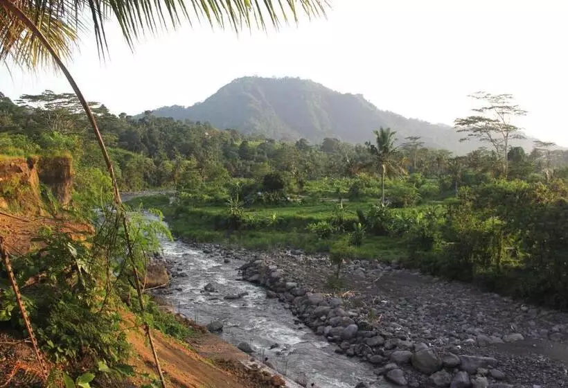 ベッドアンドブレックファースト Anandinii River Lodge