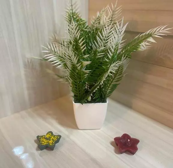 Aamiaismajoitus (B&B) Serene Stay India