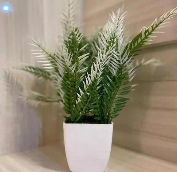 Aamiaismajoitus (B&B) Serene Stay India